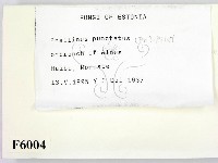 登錄號:F0006004藏品圖，第2張