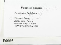 登錄號:F0006005藏品圖，第2張