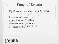 登錄號:F0006006藏品圖，第2張