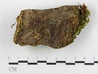 登錄號:F0006006藏品圖，第1張