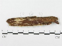 登錄號:F0006007藏品圖，第3張