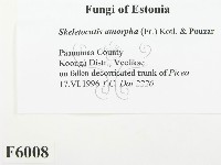 登錄號:F0006008藏品圖，第2張