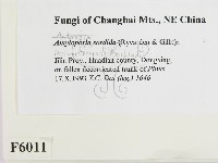 登錄號:F0006011藏品圖，第2張