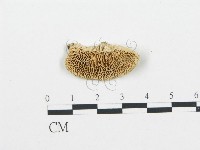 登錄號:F0006012藏品圖，第1張