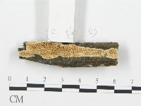 登錄號:F0006013藏品圖，第1張