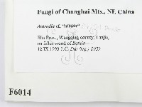 登錄號:F0006014藏品圖，第2張