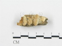 登錄號:F0006014藏品圖，第1張