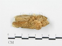 登錄號:F0006015藏品圖，第4張