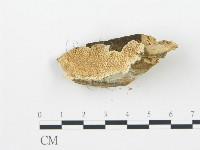 登錄號:F0006015藏品圖，第5張