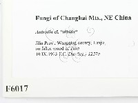 登錄號:F0006017藏品圖，第2張