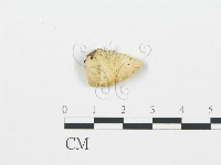 登錄號:F0006017藏品圖，第3張