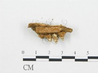 登錄號:F0006020藏品圖，第4張