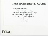 登錄號:F0006021藏品圖，第2張