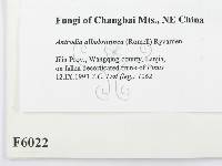 登錄號:F0006022藏品圖，第2張