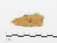 登錄號:F0006022藏品圖，第3張