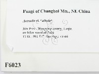 登錄號:F0006023藏品圖，第2張