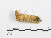 登錄號:F0006023藏品圖，第1張