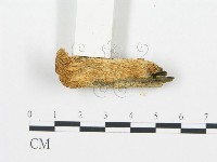 登錄號:F0006023藏品圖，第3張