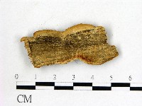 登錄號:F0006024藏品圖，第3張