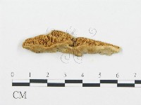 登錄號:F0006025藏品圖，第1張