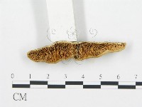 登錄號:F0006025藏品圖，第3張