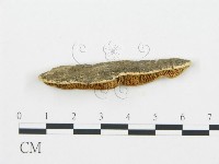 登錄號:F0006025藏品圖，第4張