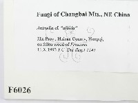 登錄號:F0006026藏品圖，第2張