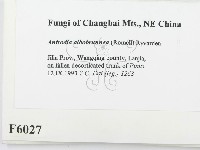 登錄號:F0006027藏品圖，第2張