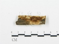 登錄號:F0006027藏品圖，第1張