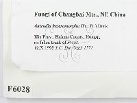 登錄號:F0006028藏品圖，第2張