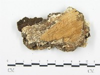 登錄號:F0006028藏品圖，第3張