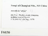 登錄號:F0006030藏品圖，第2張