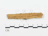 登錄號:F0006030藏品圖，第3張