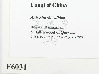 登錄號:F0006031藏品圖，第2張