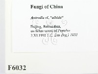 登錄號:F0006032藏品圖，第2張