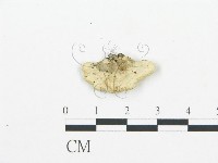 登錄號:F0006032藏品圖，第1張