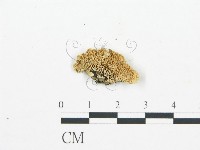 登錄號:F0006032藏品圖，第3張