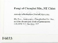登錄號:F0006033藏品圖，第2張