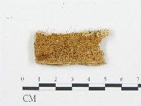 登錄號:F0006033藏品圖，第1張