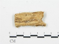 登錄號:F0006033藏品圖，第3張