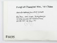 登錄號:F0006035藏品圖，第2張