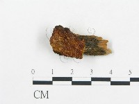 登錄號:F0006035藏品圖，第1張