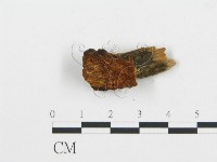 登錄號:F0006035藏品圖，第3張