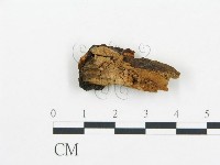 登錄號:F0006035藏品圖，第4張