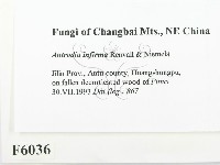 登錄號:F0006036藏品圖，第2張