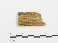 登錄號:F0006036藏品圖，第3張