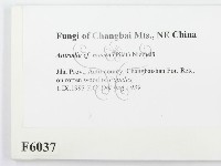 登錄號:F0006037藏品圖，第2張