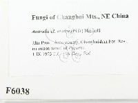 登錄號:F0006038藏品圖，第2張