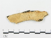 登錄號:F0006038藏品圖，第1張