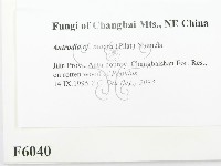 登錄號:F0006040藏品圖，第2張